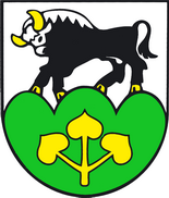 Coat of arms of Sadloňova dolina, Region of Trenčín