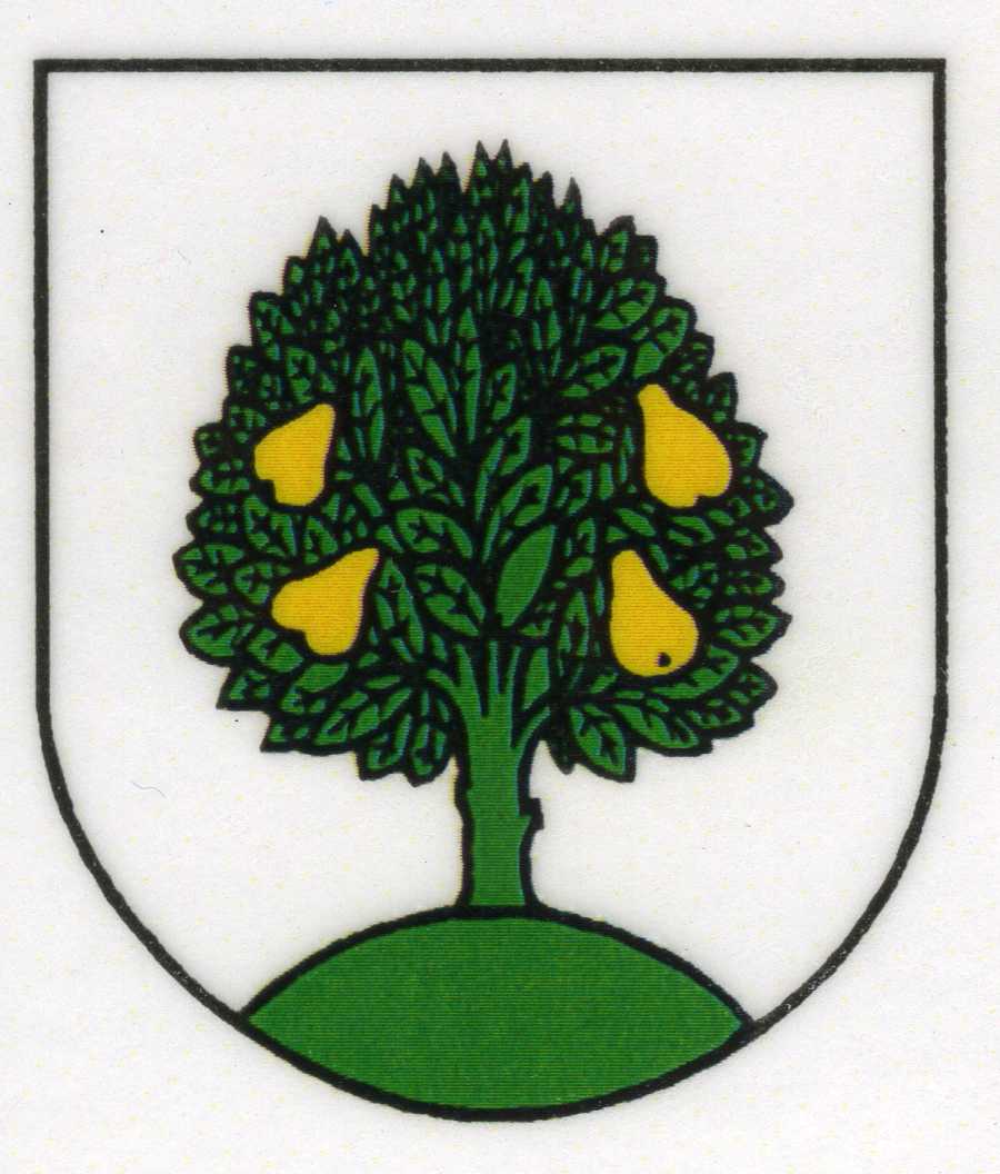 Coat of arms of Spišský Hrušov, Region of Košice