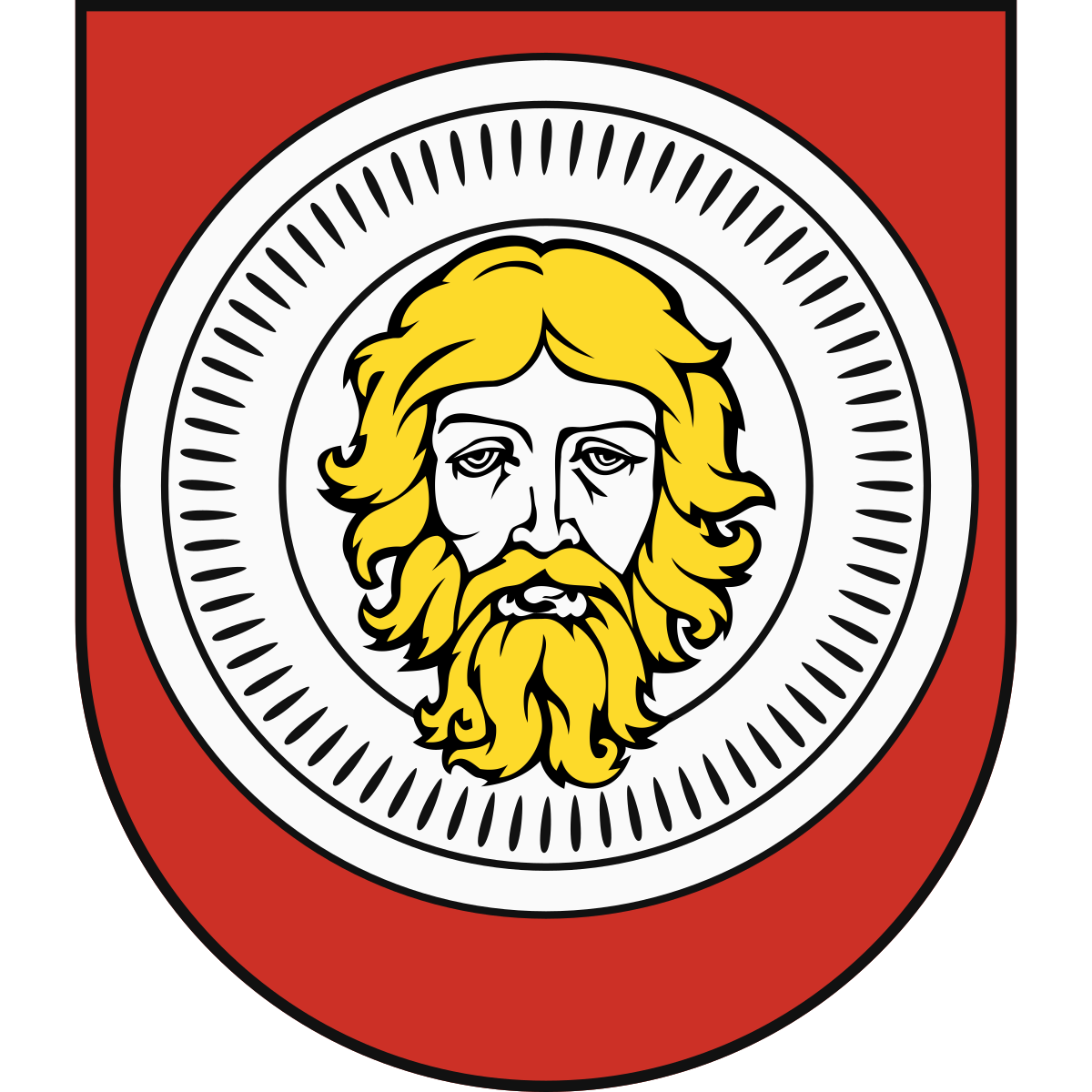 Erb mesta Vyšehradné, Trenčiansky kraj