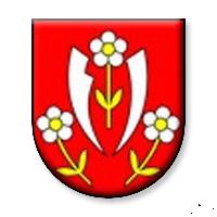 Coat of arms of Za Bielou cestou, Region of Banská Bystrica